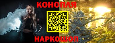 индика Нальчик