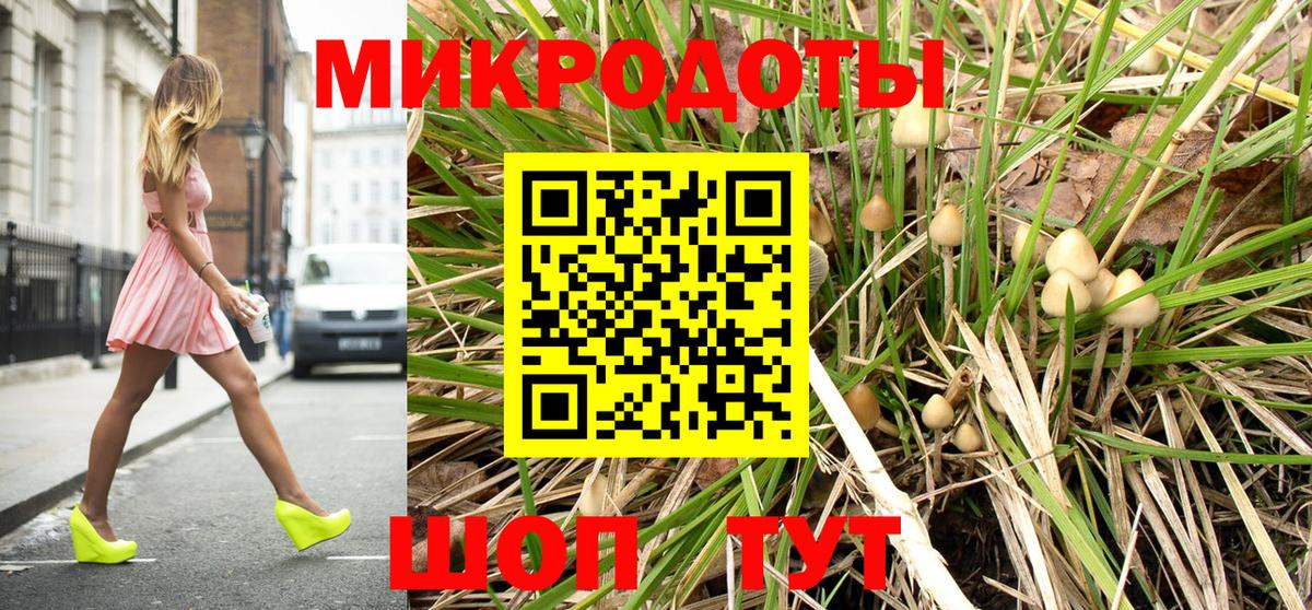 цена   Вход с VPN  Ульяновск  Галлюциногенные грибы Psilocybe 