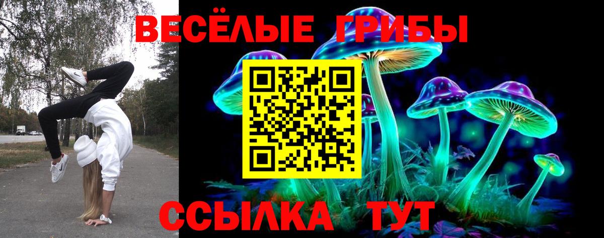 Галлюциногенные грибы MAGIC MUSHROOMS Ульяновск